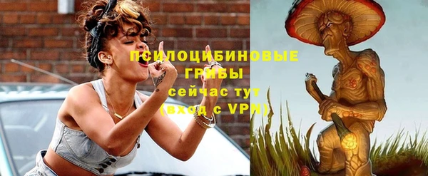 ПСИЛОЦИБИНОВЫЕ ГРИБЫ Абдулино